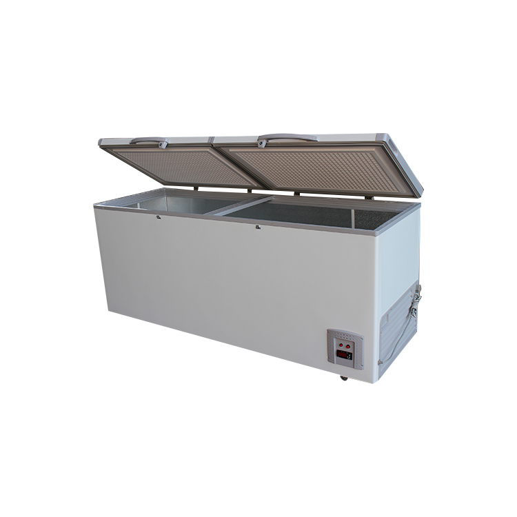 Congelador horizontal de refrigerador comercial de almacenamiento multifunci&oacute;n