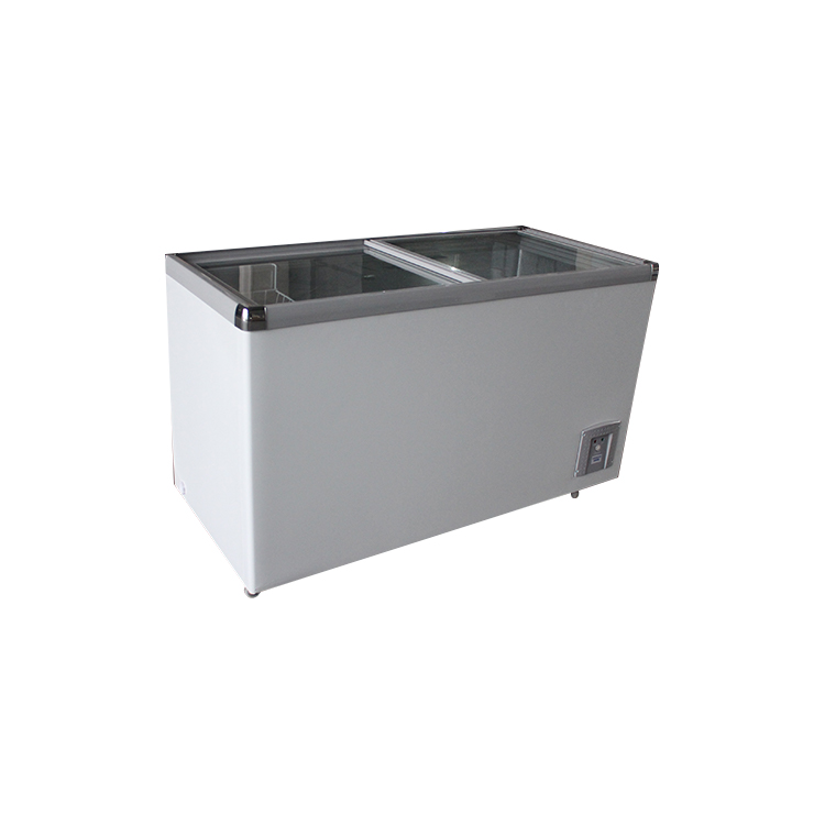 Морозильник для замороженных продуктов и мороженого с плоской стеклянной дверью